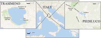 Microplastics and Brominated Flame Retardants in Freshwater Fishes From Italian Lakes: Implication for Human Health